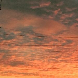 Meet your Posher, Liz